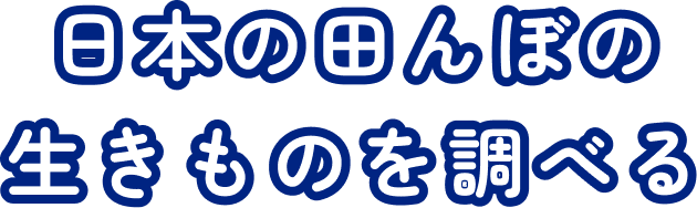 日本の田んぼの生きものを調べる