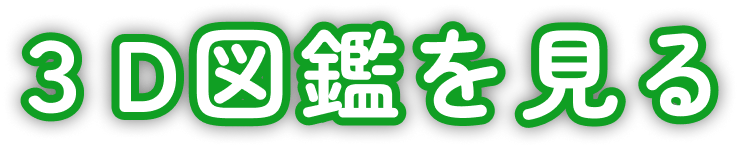 ３D図鑑を見る