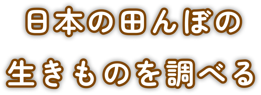 日本の田んぼの生きものを調べる