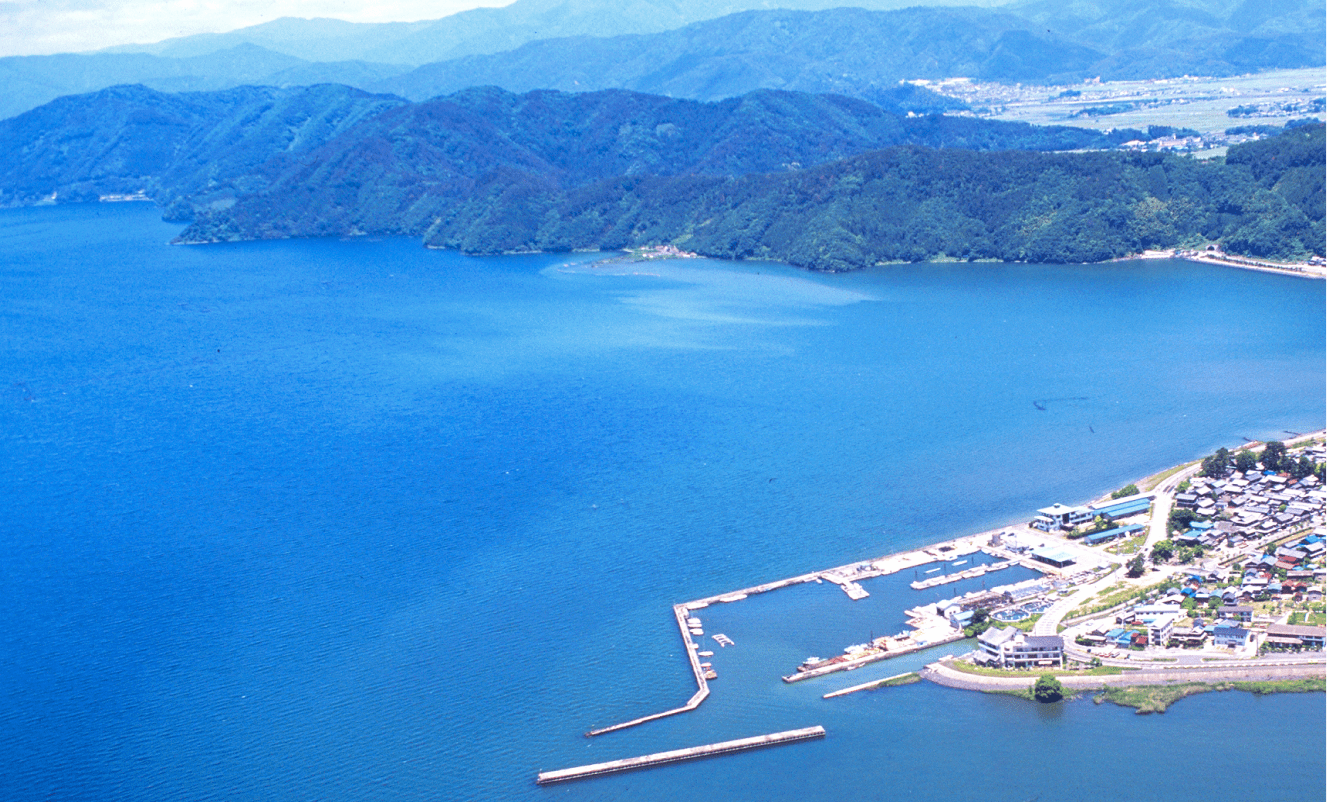 クイズの答え画像